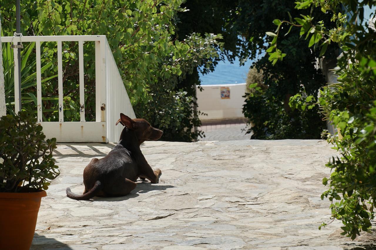 Galini Mare Hotel Agia Galini Екстериор снимка